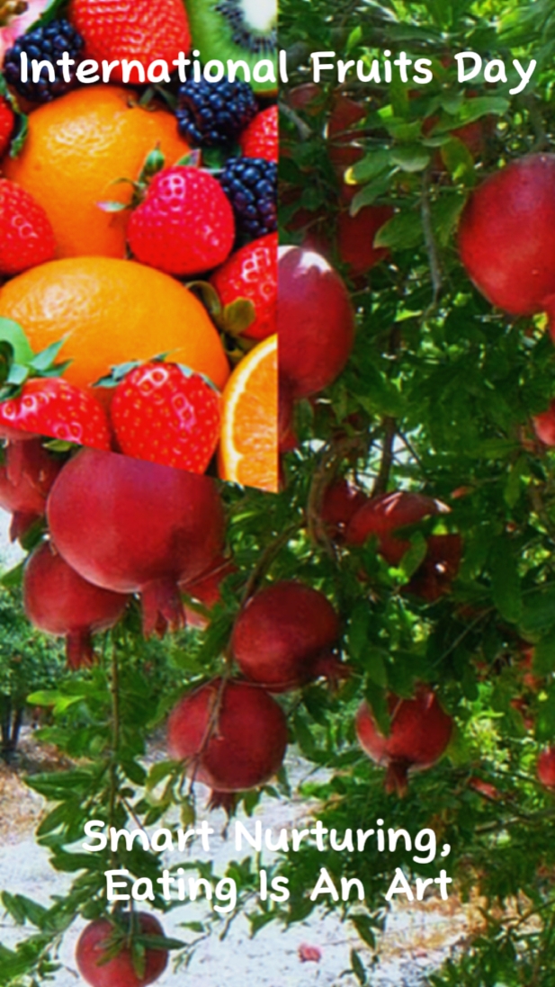 Bonne journée des fruits