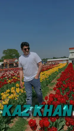 Tulip Fields Filter