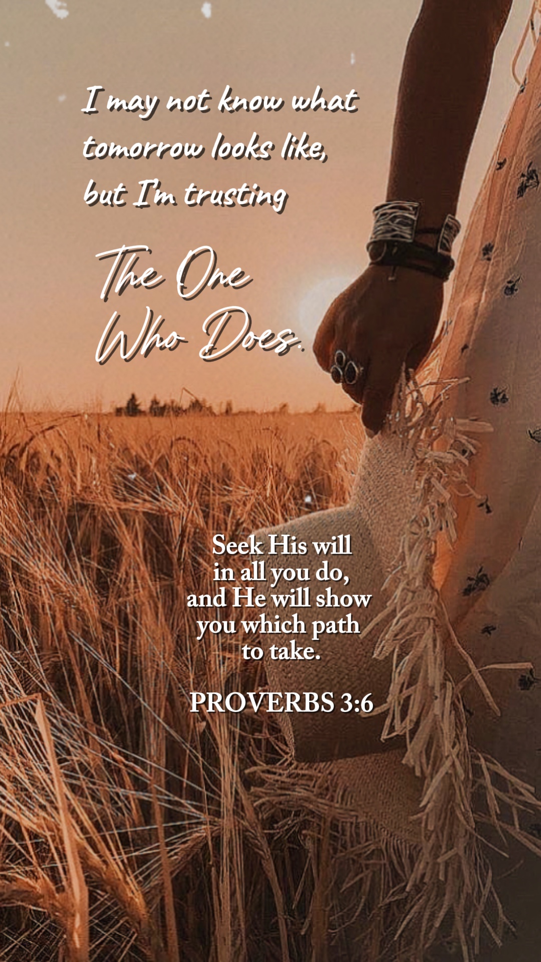 Provérbios 3: 6