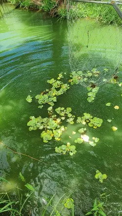 ธรรมชาติดีกับเราเสมอ