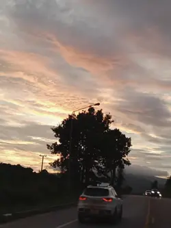 ฉันคงจะรักเธอจนตาย