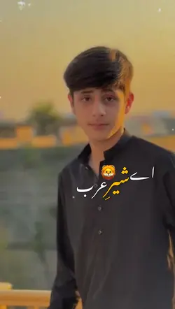 اے شیر عرب