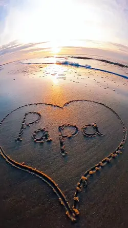 i love you papa