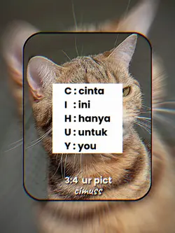 TREND CIHUY 3:4