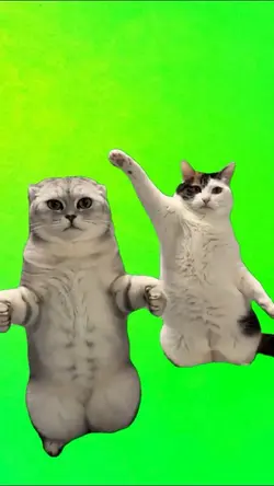 Stranger things cats