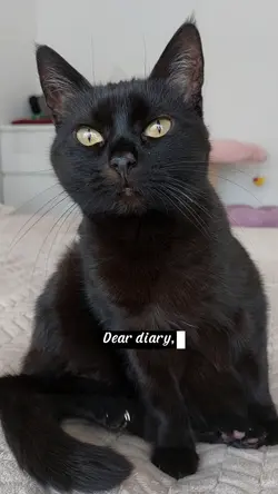 Dear diary..
