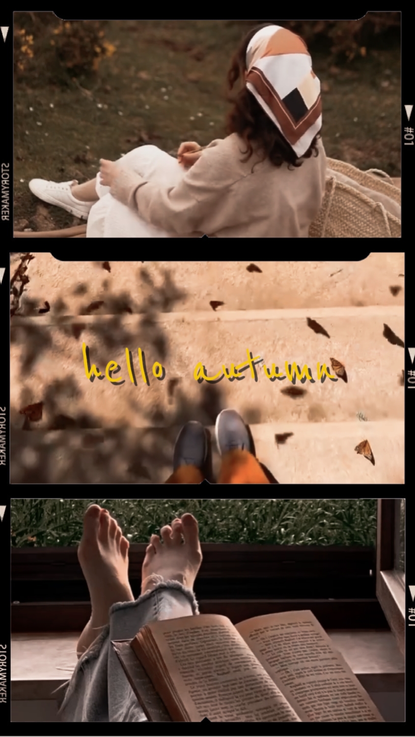 HALO AUTUMN