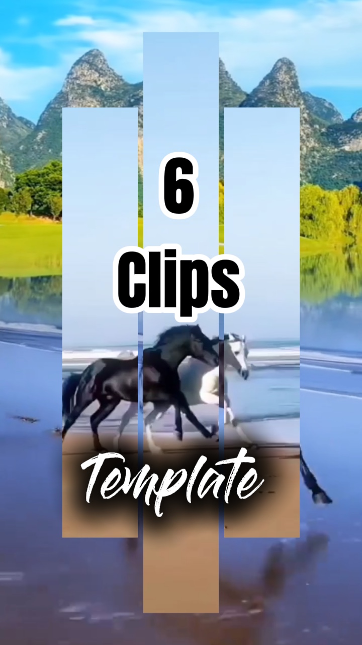 6 Plantillas 