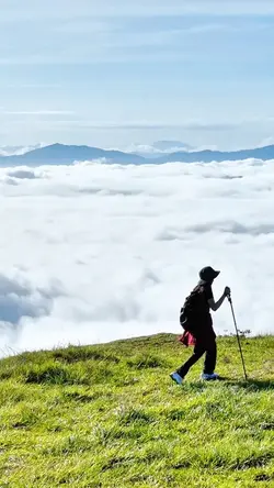 NATURE TRIP