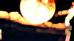 free edit