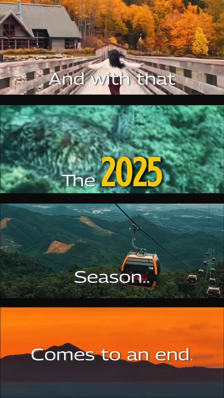 Özet 2025 