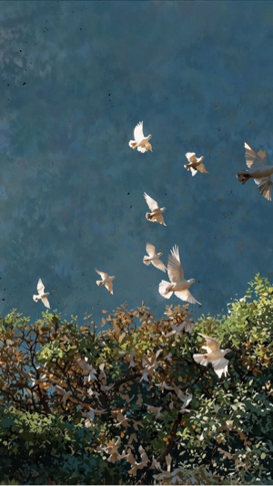 Cover Picture