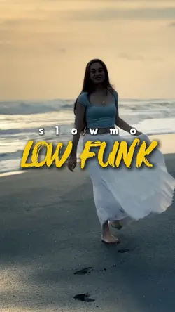 LOW FUNK