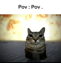 POV
