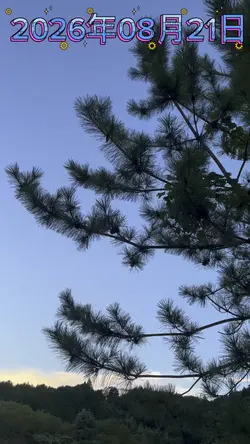今日の天気