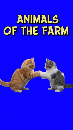 CAT ANIMALS OF THE