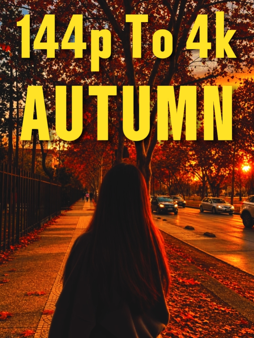Autumn 144p Vs 4k