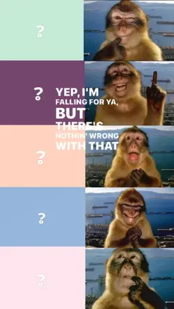 Versi ber 5