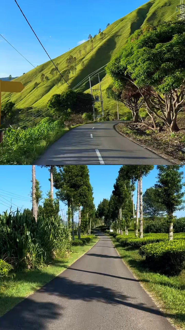 Layout 2 vídeos