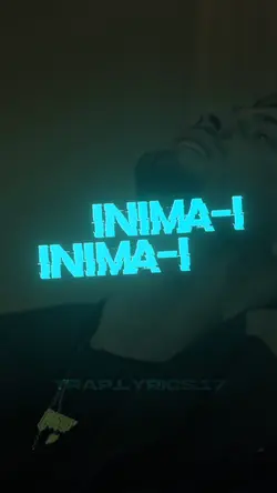 PetreStefan - Sablon