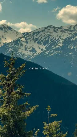 calm view