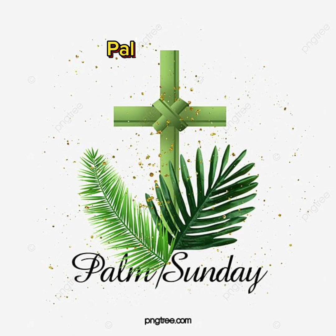 Domingo de Ramos   