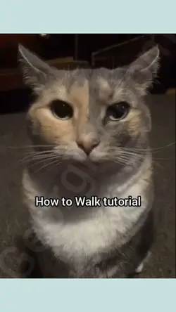 walk tutorial 