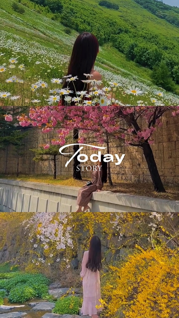 vlog dayli 