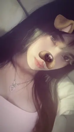 dog filter