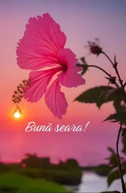 Seară frumoasă! 