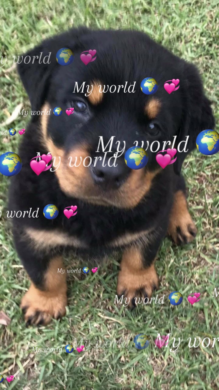 Você será meu 🌍