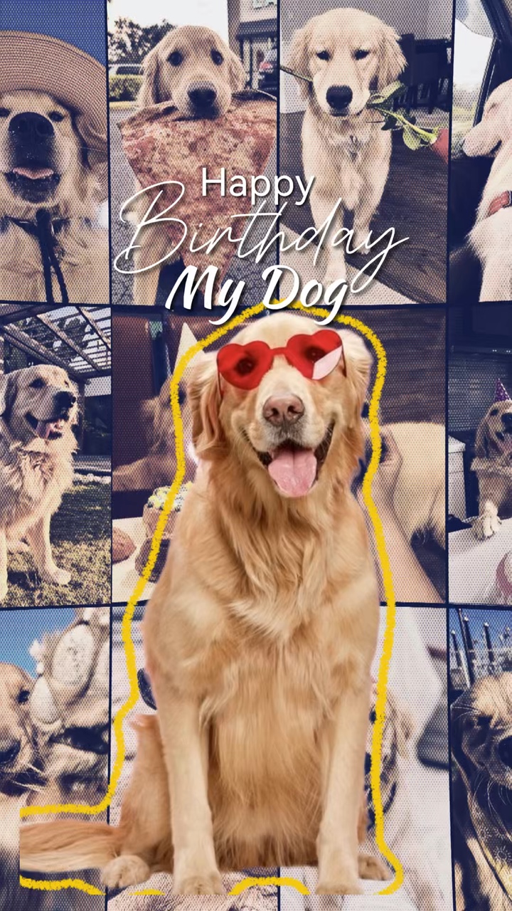 Aniversário Meu Cachorro 