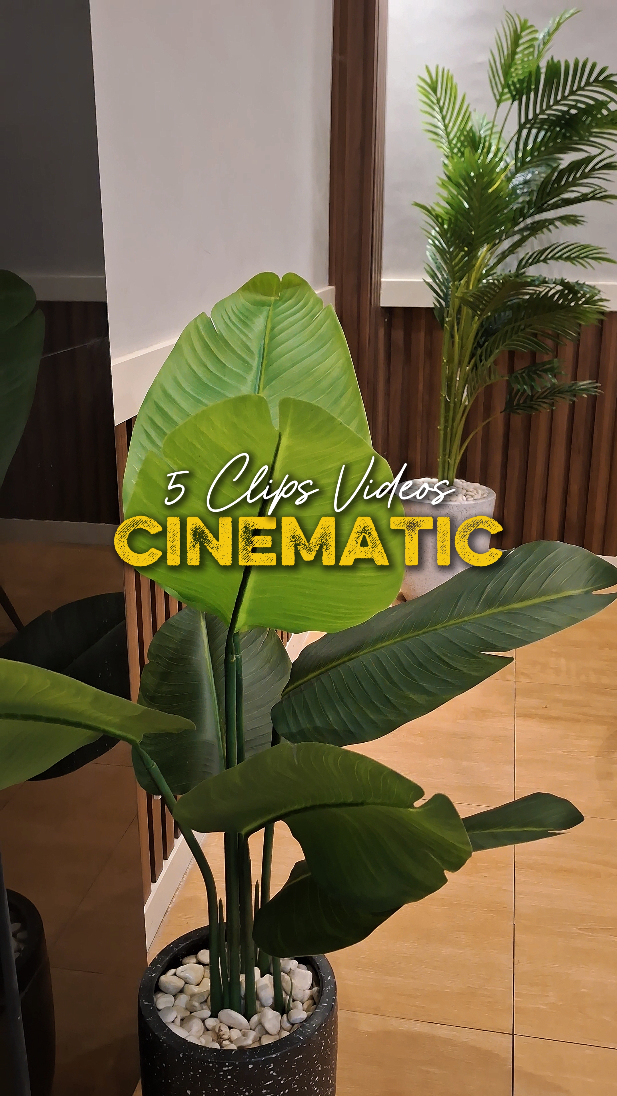 Cinématique 5 Vidéos