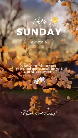Thankful Sunday 🙏