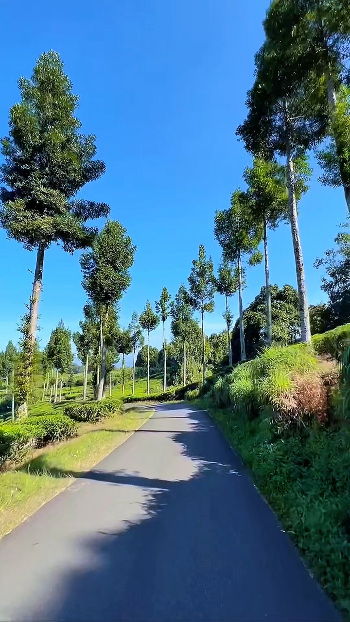 6 video travel 