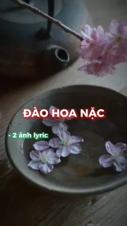 ĐÀO HOA NẶC LYRIC