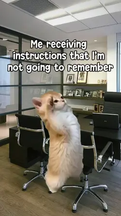 me receiving instruc