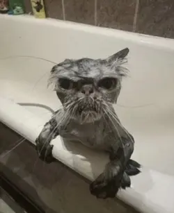 Il y a des regards..