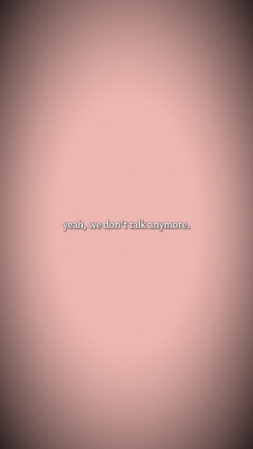 wedon'ttalkanymore