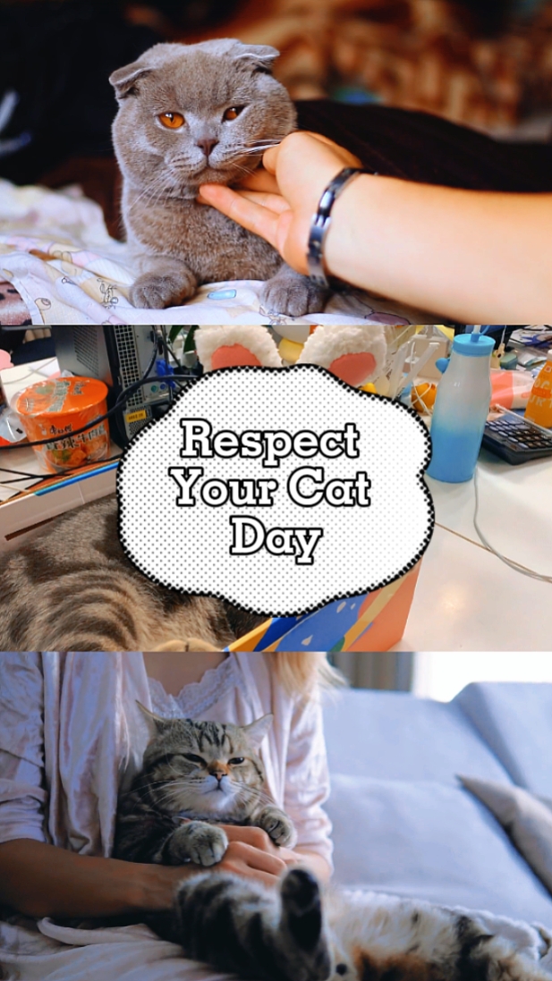 Respect Your Cat Day