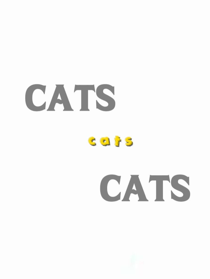  cats lovers 
