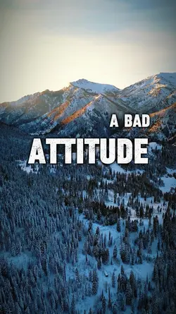 A Bad Attitude