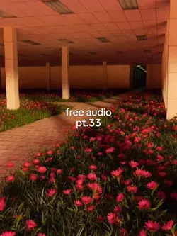 Free audio pt.33