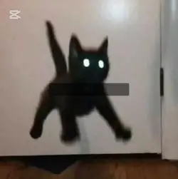 감사합니다 땡큐!