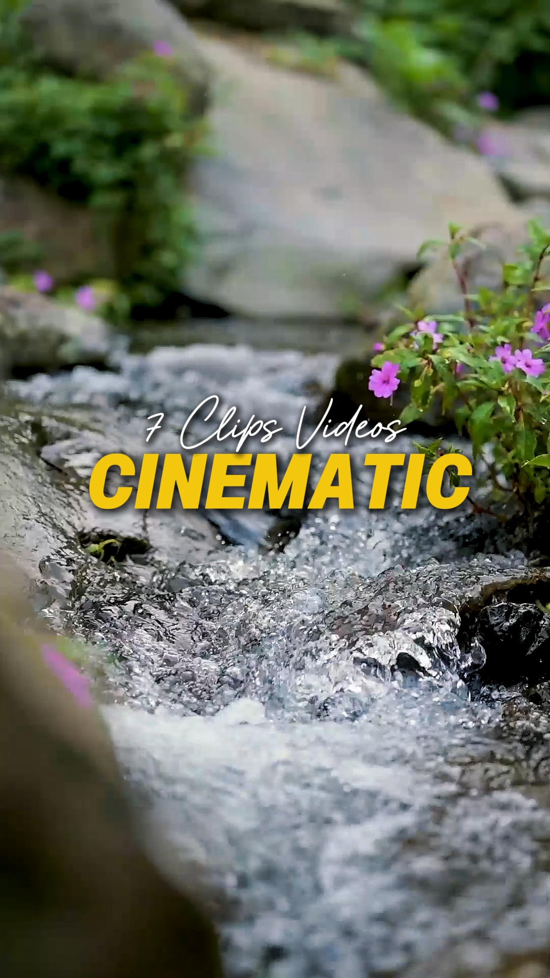 Cinematic 7 Videos