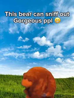 Sniffer bear 🐻