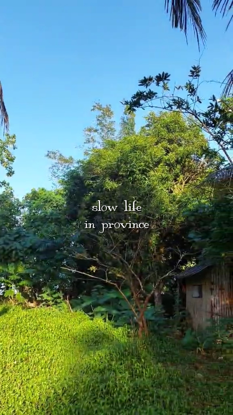 SLOW LIFE PROVINCE