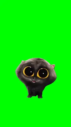 I'M SCATMAN CAT
