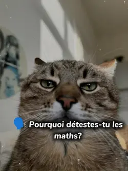 Pourquoi détestes-tu