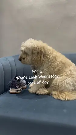Won’t look Wed